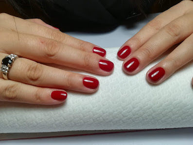 Immagine Kamelia Bergamo 2