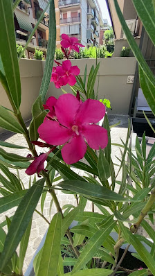 Immagine Clarens Beauty Centro Estetico Roma 3