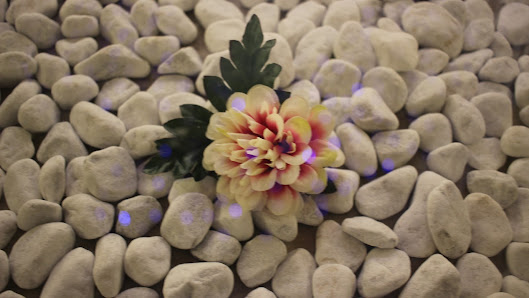 Immagine Charme | Beauty, Wellness & Nails 1