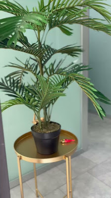 Immagine Ts Maison Estetique 3