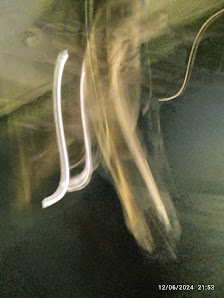 Immagine Beauty Salon Ananda 2