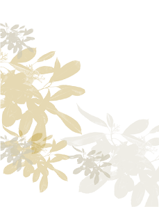 Immagine Suero Estetica Avanzata 1