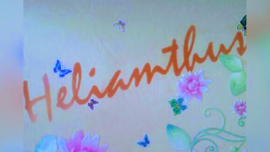 Immagine Centro Estetico Helianthus 1