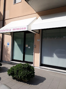 Immagine Estetica Mimosa Di Codroico Veronica 2