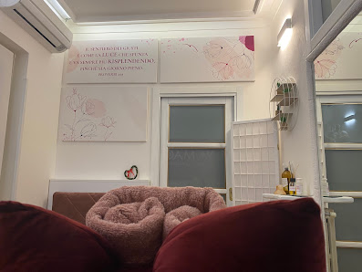 Immagine Centro Estetico | WELLAGE | Lamezia 2