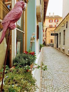 Immagine Hofer Antonia 1