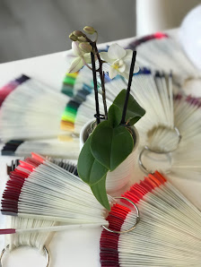 Immagine Progetto Estetica Avanzata di Pamela Cardamone e Savasta Morena 1