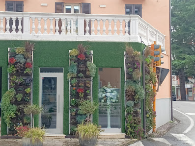 Immagine Centro Benessere Emozioni Srl 1