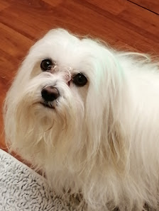 Immagine Centro Estetico Saija Di Graziella Saija 1