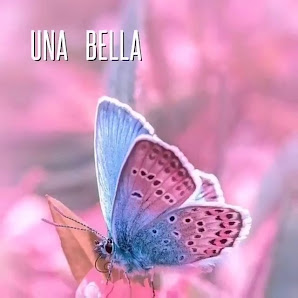 Immagine Le Cicale Centro estetico 3