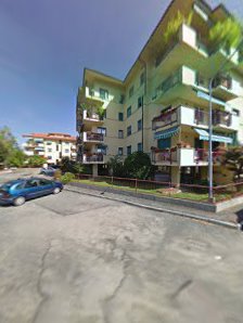 Immagine Celluloff 4