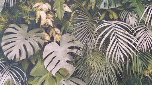 Immagine Narciso Beauty Lab 1