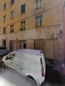 Immagine Hamamelis Sas 1