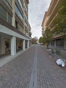 Immagine Estetica Camilla Pesce 5