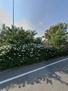 Immagine Chocolat Centro Benessere Chiari 1