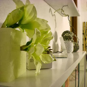 Immagine Ylestetyka il tuo Centro Estetico 2