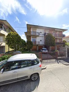 Immagine Apollonia 1