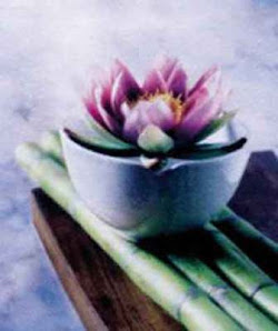 Immagine Estetica DEVA 3