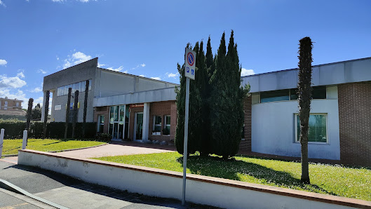 Immagine Le Bronzage Di Bigalli Serena 1