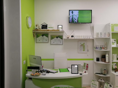 Immagine Nomasvello Civitavecchia 1