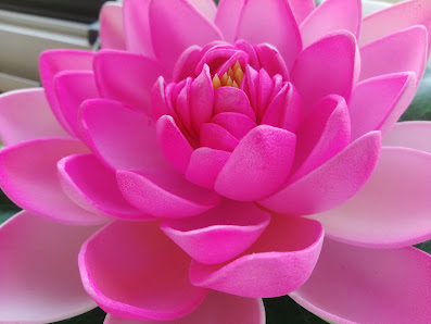 Immagine Erica Anzalone studio olistico 1