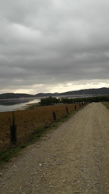 Immagine Il Bello Di Te Di La Torre Tiziana 3